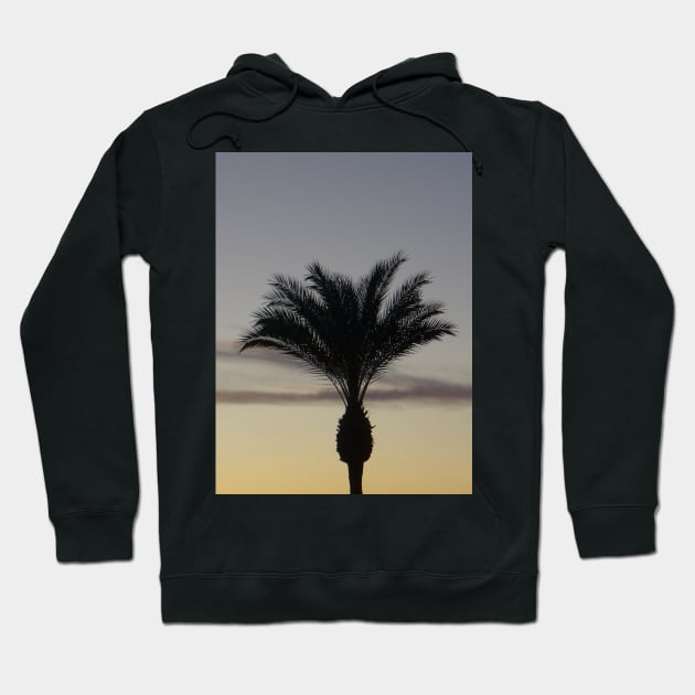 Single Palm Tree Silhouette at Sunset Hoodie by Sandraartist
